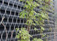 X tenda il traliccio della pianta della rete metallica del reticolato del cavo dell'acciaio inossidabile per le piante rampicanti fornitore