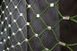 Reticolato flessibile non tossico della maglia dell'acciaio inossidabile, struttura del solido della maglia del cavo metallico fornitore
